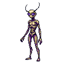 Porchlight Creeper