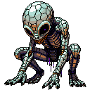 Starchild of the Hollow Moon
